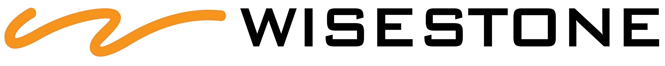 wisestone-CI.jpg